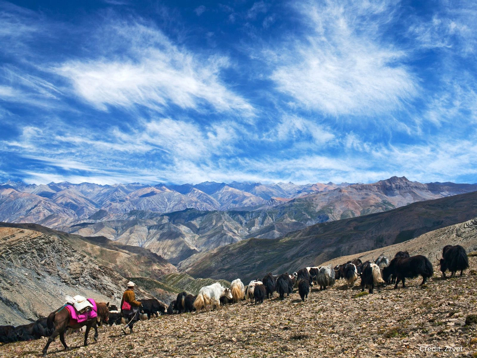 Upper Dolpo Trek - Visit the Bon Kingdom